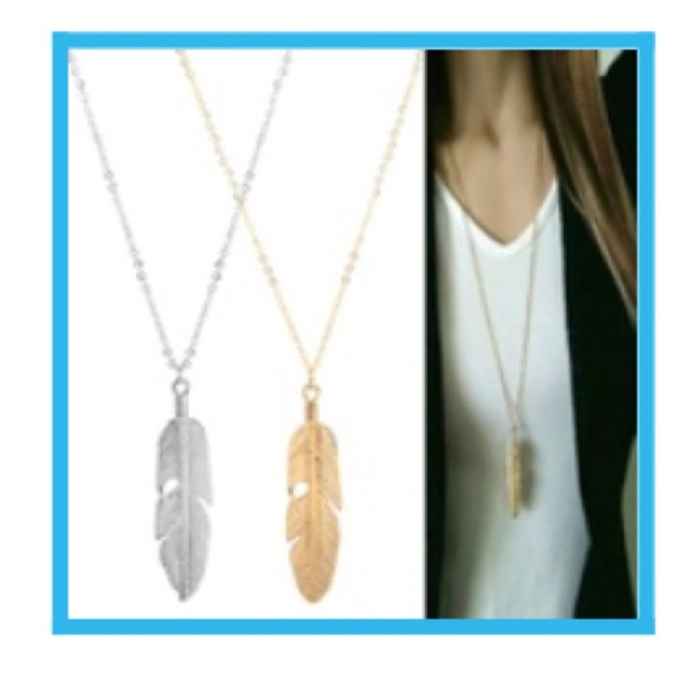 Long chain feather  necklace